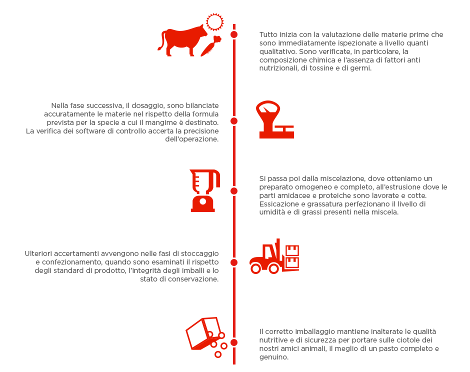 processo