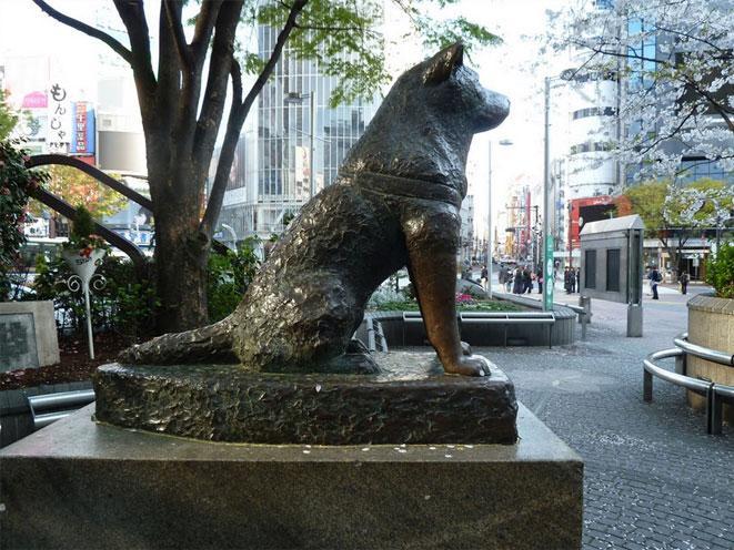 hachiko-tokyo