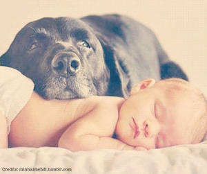 bebè e cane 